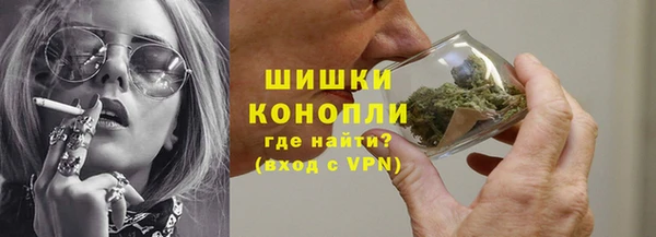 прущие грибы Баксан
