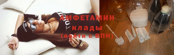 прущие грибы Баксан