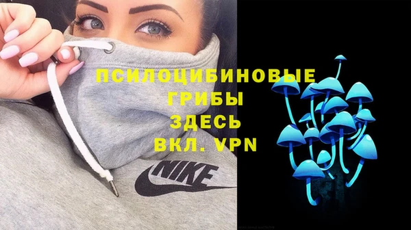 Альфа ПВП Балабаново