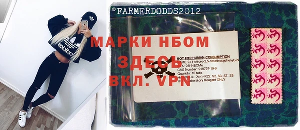 прущие грибы Баксан